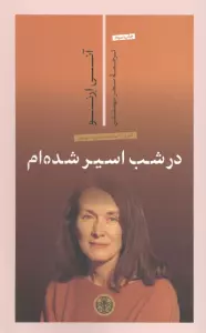 در شب اسیر شده ام