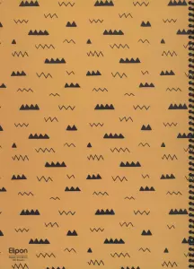 دفتر خط دار فانتزی 100 برگ (4طرح،کد 245)،(سیمی)