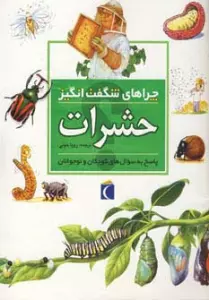 چراهای شگفت انگیز (حشرات)