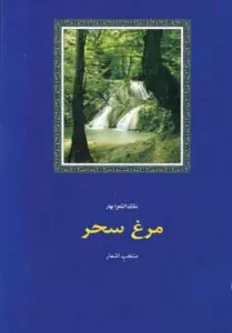 مرغ سحر