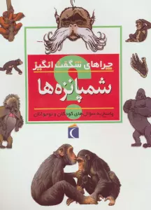 چراهای شگفت انگیز (شمپانزه ها)