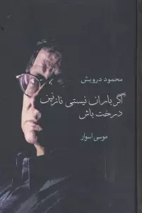 اگر باران نیستی نازنین درخت باش