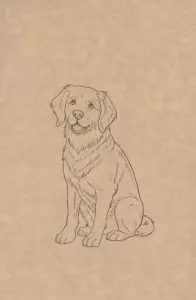 دفتر یادداشت خط دار (کد F102)