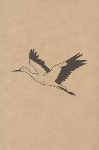 دفتر یادداشت خط دار (کد F103)