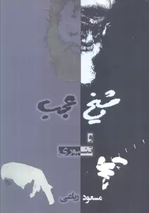 شیخ عجب و تنبوری