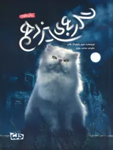 گربه ی سیزدهم