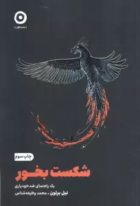 شکست بخور (یک راهنمای ضد خودیاری)