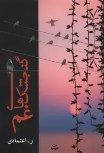 گنجشک های غم