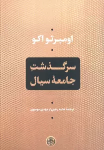 سرگذشت جامعه سیال