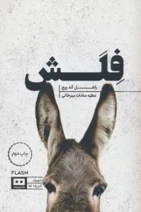 فلش