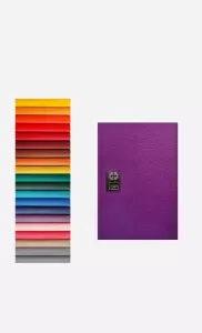 سالنامه باشگاه مغز 1405 (چند رنگ،چرم)