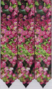 مجموعه نشانه کتاب (بوک مارک،کد N55)،(3عددی)