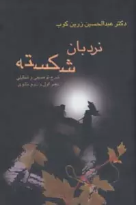 نردبان شکسته