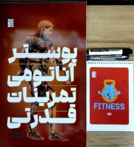 پوستر آناتومی تمرینات قدرتی (همراه با ماژیک،خودکار،دفترچه برنامه ریزی)،(سیمی)