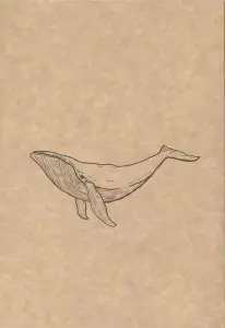 دفتر یادداشت خط دار (کد F110)