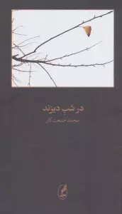 در شب دیرند