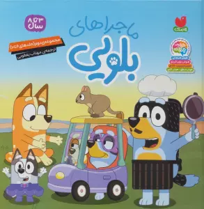 مجموعه ماجراهای بلویی 2 (جلدهای 6تا10)