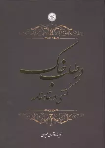 در طلب خاک (کشتی در شاهنامه)