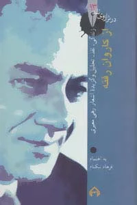 از کاروان رفته (در ترازوی نقد13)