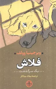 فلاش (یک سرگذشت)