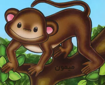 حیوانات را بشناسیم (میمون)،(گلاسه)