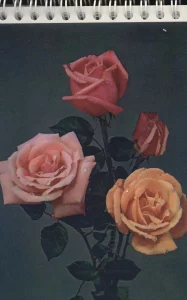 دفترچه یادداشت بی خط (همراه با کارت تبریک،چند طرح)،(سیمی)