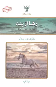 رها از بند (سفر به فراسوی خود)