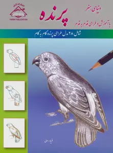 دنیای هنر آموزش و طراحی قدم به قدم (پرنده)